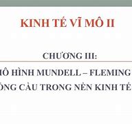 Nền Kinh Tế Mở Kinh Tế Vĩ Mô